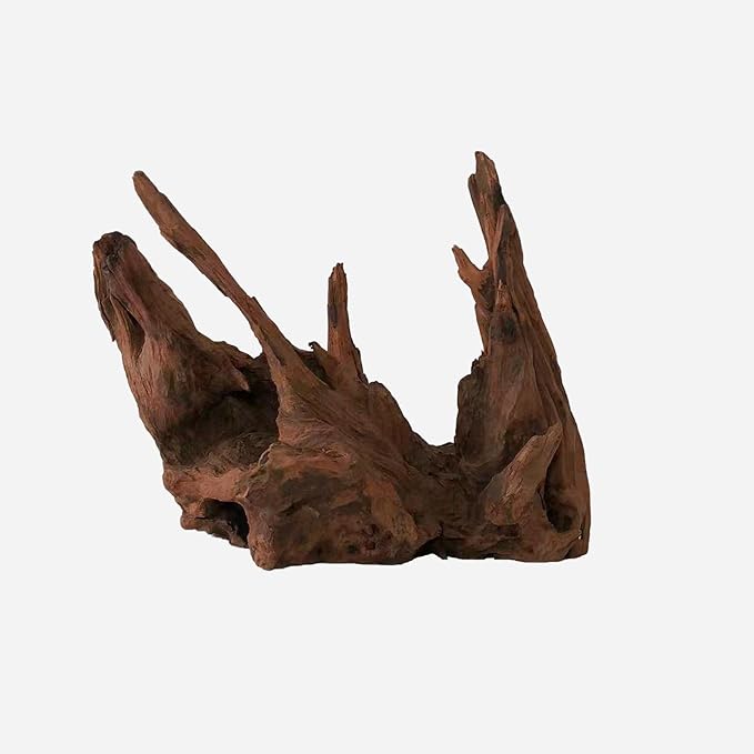 LYPHARD AQUARIUMS Natural Driftwood for Aquarium Decor, L13.78×W11.42×H9.45 Inches Large Drift Wood Decorations for Reptile Hide, Fish Tank, Optional Shapes