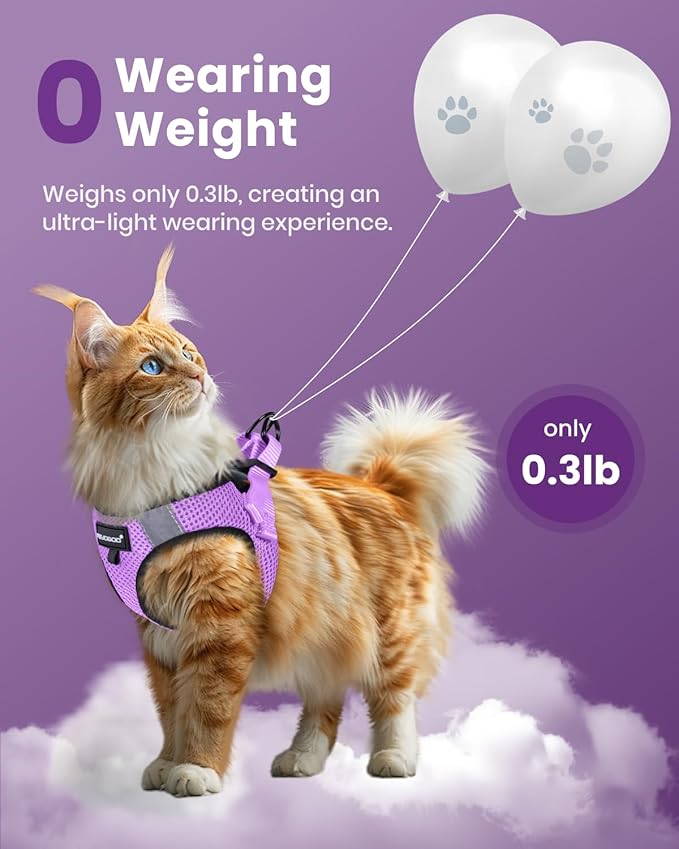 FAYOGOO Cat Harness, Cat Leash and Harness Set for Walking Escape Proof, Harness for Small Cats/Small Dogs, Large Kitten/Puppy Harness and Leash, Harness for Cats S-XXL(Modern Violet, Large)