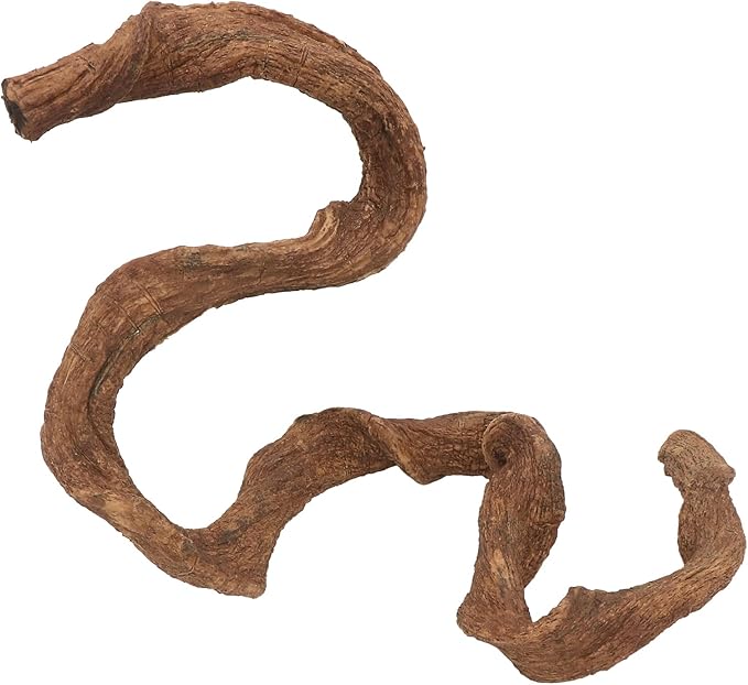AQUA KT Reptile Twist Climber Vine Bendable Branch for Lizard Snake Bearded Dragon Crested Gecko Climbing Accessory Terrarium Habitat Decoration