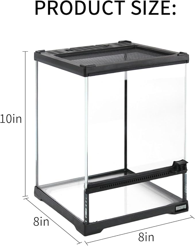 Mini Reptile Glass Terrarium Tank 8"*8"*10" Full View with Front Opening Door,Amphibians Enclosure Habitat Cage for Leopard Gecko Tarantula Young Lizard Hermit Crab Frog Insects Breeding