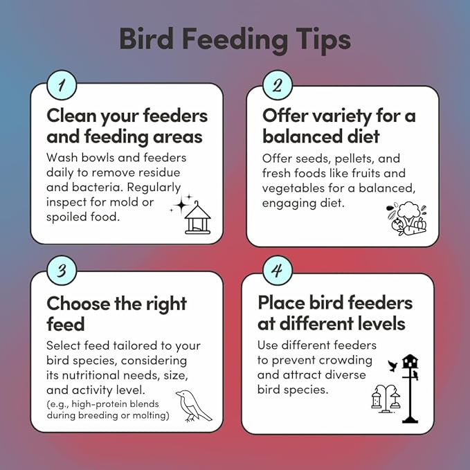 Mycelium Organic Macaw Bird Food (5 LB Bag) | Premium Seed, Pellet & Kibble Blend for Large Parrots | High-Protein, Digestive & Feather Support | Non-GMO, USA-Grown