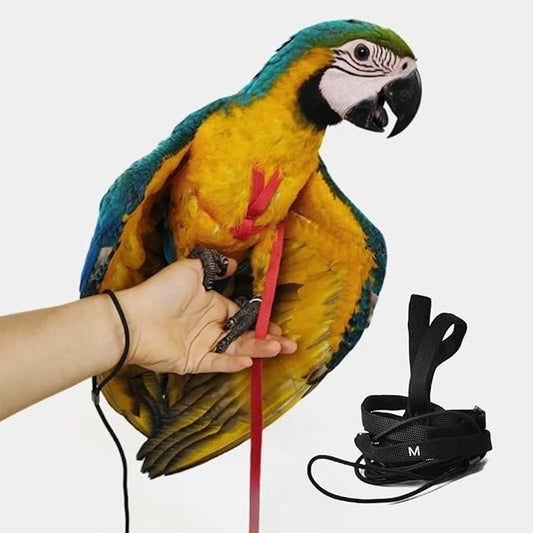 Adjustable Bird Harness with 78.7 Inch Leash, Outdoor Flying Training Rope Kit for Bird Parrots, Parrot Flying Rope Straps Outdoor Training Traction Rope for Small Medium Large Size Birds (M)