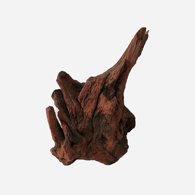 LYPHARD AQUARIUMS Natural Driftwood for Aquarium Decor, L11.81×W7.48×H11.81 Inches Large Drift Wood Decorations for Reptile Hide, Fish Tank, Optional Shapes