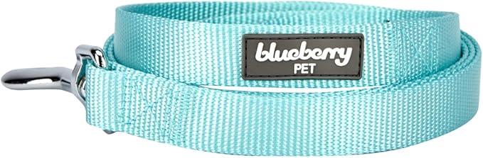 Blueberry Pet Essentials Mint Blue Dog Leash for X-Small -5' * 3/8" Dogs | Heavy Duty Nylon Lead | Lightweight Puppy & Cat Leash for Walking & Training