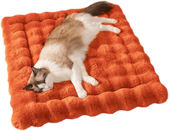 Cat Beds for Indoor Cats Faux Fur Pet Mat Cute Kitten Plush Bed with Non-Slip Bottom for Carriers/Couch Dog & Puppy Friendly 27 x 20 Inch Large Orange