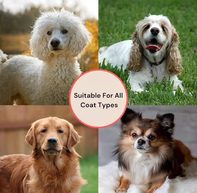 Professional Slicker Brush for Dogs | Gentle & Effective Grooming Brush for Removing Tangles, Mats & Loose Fur | Ideal for Long & Short Haired Dogs with Comfortable Grip.