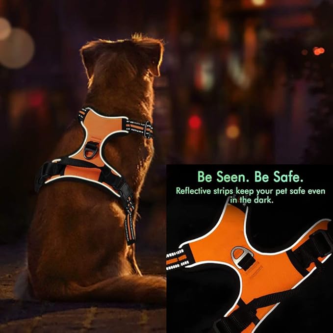 Personalized Custom No Pull Dog Harness Leash Set with Name Phone Number-Heavy Duty Reflective Soft Padded Dog Vest Harness with Easy Control Handle for Small Medium Large Dog-2 Leash Attachments