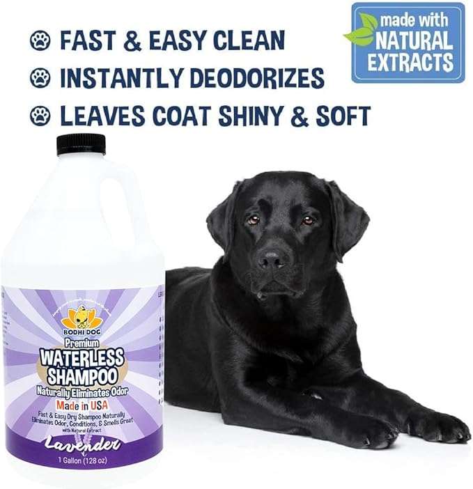 Bodhi Dog Waterless Shampoo - Natural Dry Shampoo for Dogs & Cats - Neutralizes Pet Odor - No Rinse Required - Made of Natural Extracts - Safe for Sensitive Skin - Made in USA - Lavender (1 Gallon)