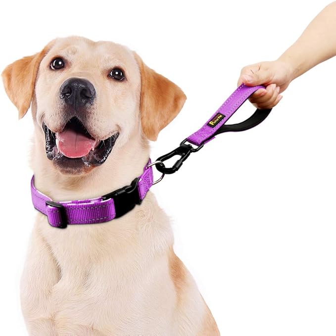 PLUTUS PET 10” Short Dog Leash, Reflective Nylon Padded Handle, Strong Traffic Leash with Carabiner Clip, Perfect for Large or Medium Dogs（10”，Purple