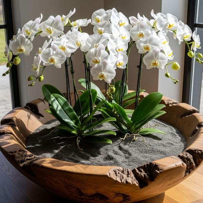 32 oz Jug of Gray River Sand for Indoor Outdoor Decor, vase Filler, Candles, Art, Crafts, Aquariums, Fairy Gardens, planters, tablescapes, terrariums, Design