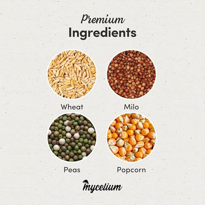 Mycelium Organic Pigeon Plus Bird Seed (5 LB Bag) | Premium Wild Bird Food for Growth, Strength & Daily Energy | Whole Grain Blend with Popcorn, Peas, Milo & Wheat | Non-GMO, No Fillers, Made in USA