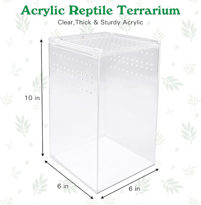 Reptile Terrarium Enclosure 6"x6"x10" Tall Acrylic Tarantula Breeding Box Magnetic Hermit Crab Habitat Vertical Tank Transparent Jumping Spider Cage for Insect Mantis Scorpion Sling Isopods