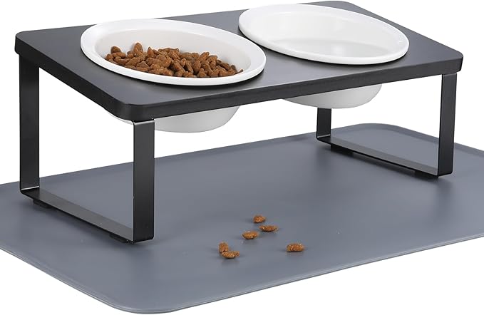 Elevated Whisker Friendly Cat Bowls, 15 Tilted Stand Anti Vomiting Raised Dishes for Food and Water,2 Ceramic Bowls for Cats and Puppy,Black