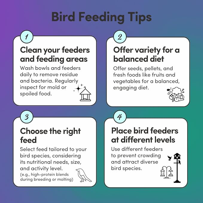 Mycelium Organic Racing Pigeon Food (5 LB Bag) | High-Protein Bird Seed with Vitamin Premix | Supports Endurance, Muscle Recovery & Flight Performance | Non-GMO, No Fillers, Made in USA