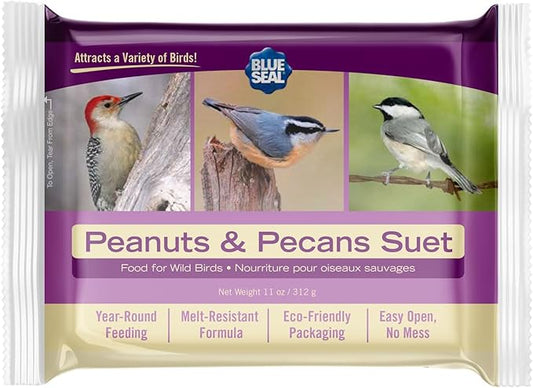 Blue Seal Peanuts & Pecans Suet Cake | Suet Cakes for Wild Birds | Melt Resistant | Year-Round Feeding | Food for Wild Birds | Made in The USA | 12 oz Suet Cakes (12 Pack)