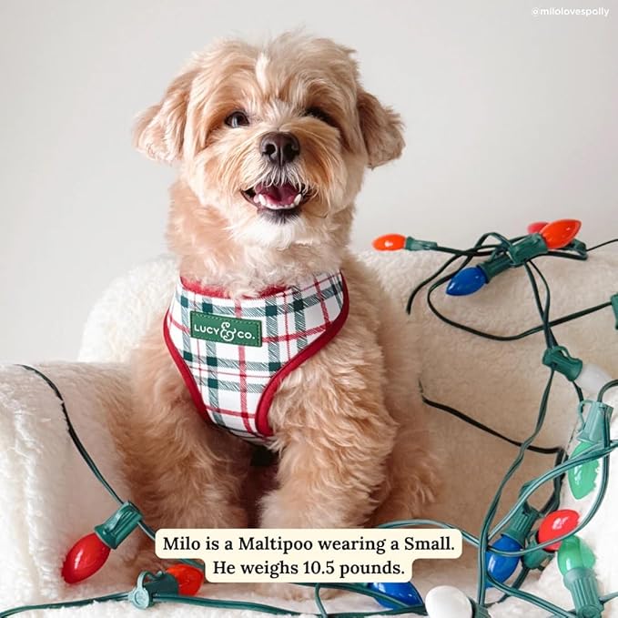 Lucy & Co. Cute Reversible Dog Harness Walking Halter - Best Designer Pet Harnesses for XS - XL Dogs - Padded Adjustable Vest for Easy Walking-Medium-Gray & White Snowman