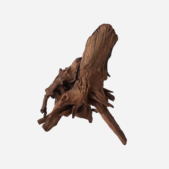 LYPHARD AQUARIUMS Natural Driftwood for Aquarium Decor, L14.17×W10.63×H13.78 Inches Large Drift Wood Decorations for Reptile Hide, Fish Tank, Optional Shapes