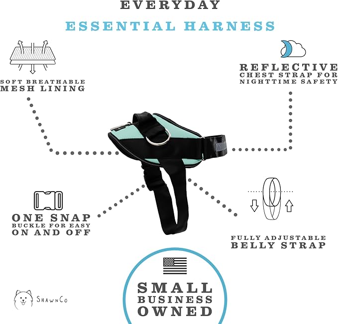 ShawnCo Essential Dog Harness, No-Pull Pet Vest with 3 Leash Clips, No Choke, Reflective, Adjustable and Padded, for Easy Walking and Training for Small, Medium and Large Dogs (Seafoam, S)