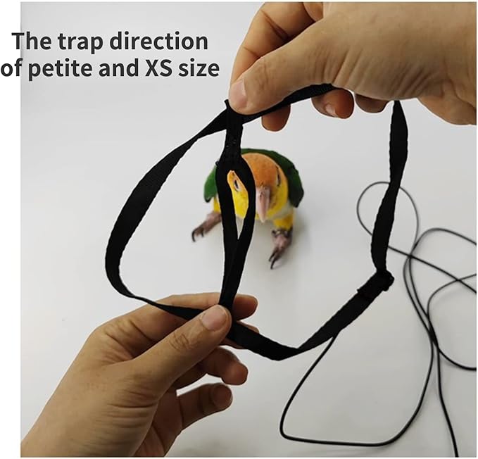 Adjustable Bird Harness with 78.7 Inch Leash, Outdoor Flying Training Rope Kit for Bird Parrots, Parrot Flying Rope Straps Outdoor Training Traction Rope for Small Medium Large Size Birds (Petite)