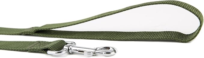 Nylon Dog Training Leash, Traction Rope, 4Ft /5 Foot /6 Feet Long, 5/8 inch 3/4 Inch 1 Inch Wide, for Small and Medium Dogs (5/8'' x 4 FT, Green)