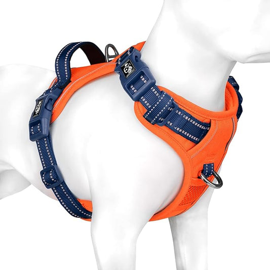 PHOEPET No Pull Dog Harness, Unique Colors Reflective Adjustable Dog Vest, with Soft Training Handle Metal Clips for Small Medium Large Dogs (Orange Base & Blue Straps,S)
