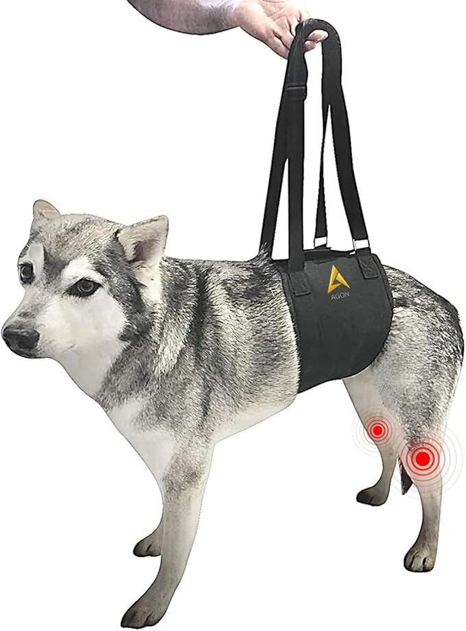 AGON Canine Dog Sling Carrier Support Back Legs Hip Knee Hock Joint Harness to Help Lift Dogs Rear Aid and Old K9 Cruciate (Large, Black)