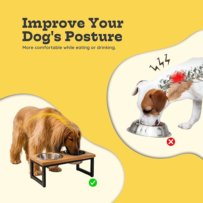 Elevated Dog Bowls, Medium 6 Height Mango Wood Raised Dog Bowl Iron Stand with 2 Pcs 64 oz Stainless Steel Pet Dishes | Food & Water 8 Cup / 1.9 L Capacity Nonslip Cats Feeding Station