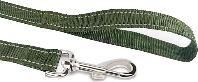 Reflective Dog Leash 4Ft /5 Foot /6 Feet Long, 1 Inch Wide, for Small and Medium Dogs