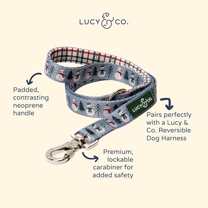 Lucy & Co. 5 Foot Designer Dog Leash for Small, Medium or Big Dogs or Puppies Puppy – Pet Accessories & Supplies- Small-Gray & White Snowman