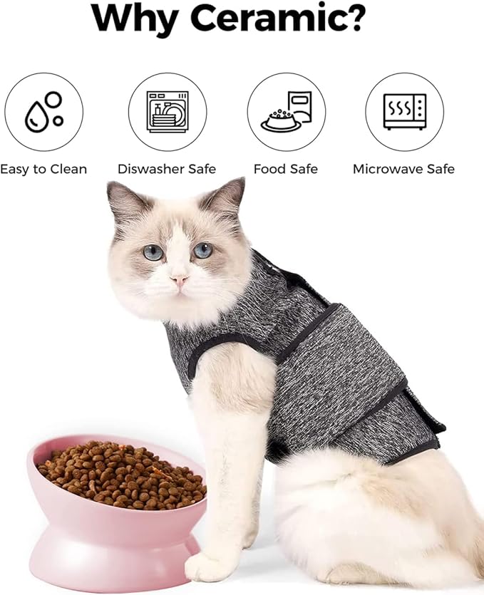 LoeJan Elevated Cat Food Bowl, 5 Oz Ceramic Raised and Tilted Water Bowl, Anti Vomiting and Protect Pets' Spines Dishes for Small Dog, Fat Faced Cat, Kitten (Pink, 2 Pack)