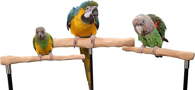 Parrot Training Perch Kit (Standard, Small)