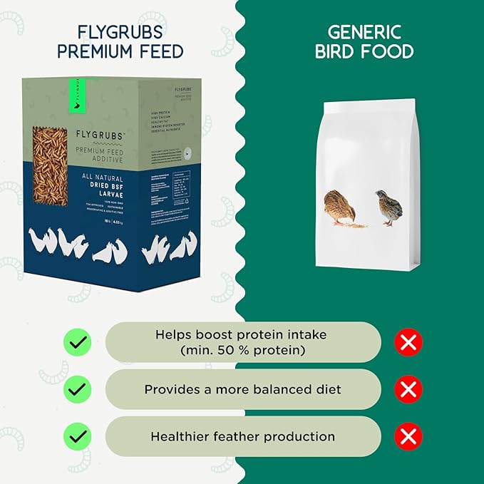 FLYGRUBS 10 lb Dried Black Soldier Fly Larvae - High Calcium Chicken Feeder - 85X More Calcium, Non-GMO Meal Worms for Wild Birds, Ducks, Turkeys, Quails, Turtles - Nutrient-Rich BSFL