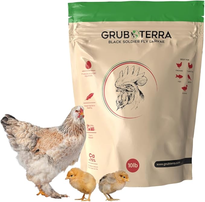 GrubTerra Golden Dried Black Soldier Fly Larvae - Premium Supplement to Increase Egg Production for Hen Treats, Bird Feed, Chicken Feeder, Pet Bird Food, and Wildbird Feed, Never from China! (10lb)