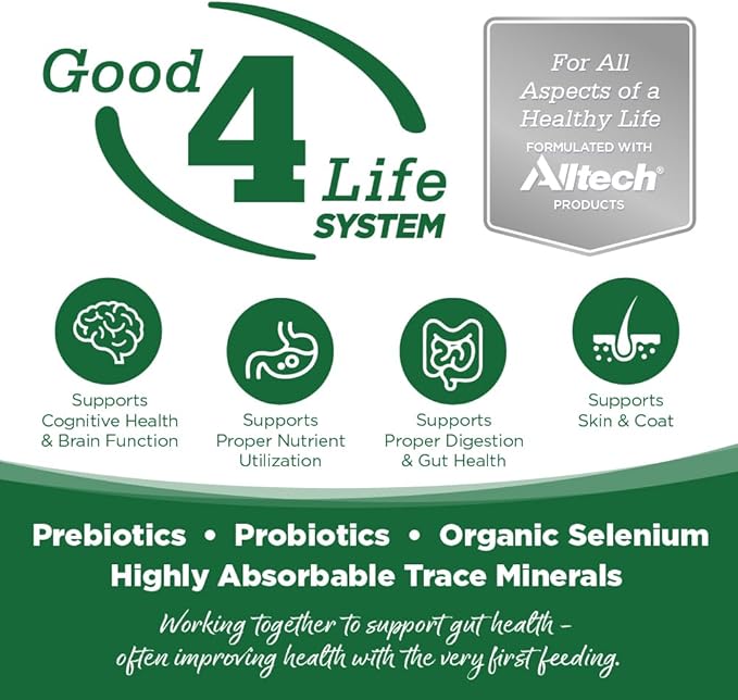 NutriSource Turkey & Rice Recipe Dog Food, Premium Wet Dog Food, 12.3 Ounce (Pack of 12)