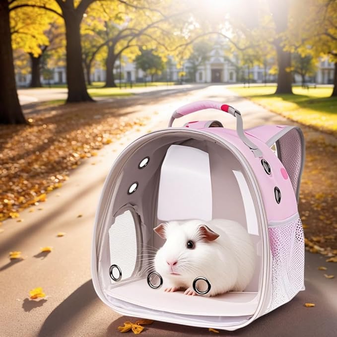Portable Small Animal Backpack Travel Breathable Pet Carrier Bag Cages for Guinea Pig, Rabbit, Bearded Dragon, Squirrel, Tortoise, Bird, Lizard, Sugar Glider