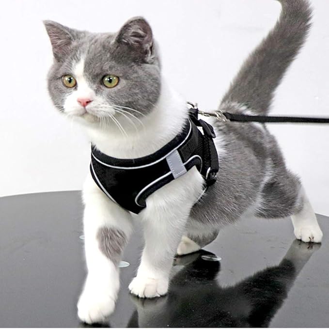 Puppy Harness and Leash Set, Escape Proof Dog Cat Vest Harness for Cats Small Medium Dogs, Adjustable Reflective Step in Harness,Soft Mesh Comfort Fit No Pull No Choke (Small(11.8"-13.3"), Black)