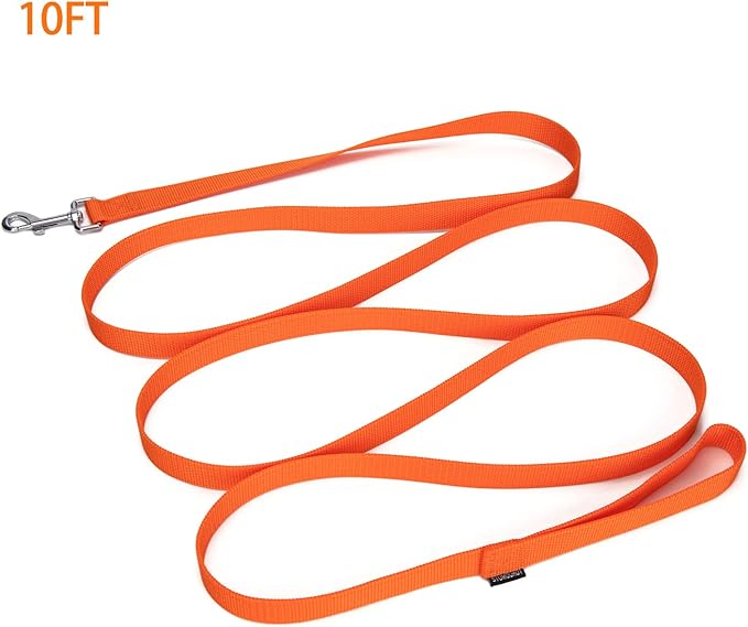 Strong Durable Nylon Dog Training Leash, 1 Inch Wide Traction Rope, 6 ft 10ft 15ft Long, for Small and Medium Dog (Orange, 10 Feet)