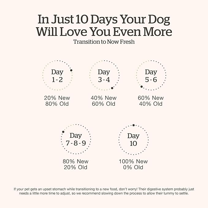 Now Fresh Good Gravy, Bone Broth Coated Kibble, Dry Dog Food, Salmon Adult Recipe with Grains, All Breed Size, 22 lb Bag