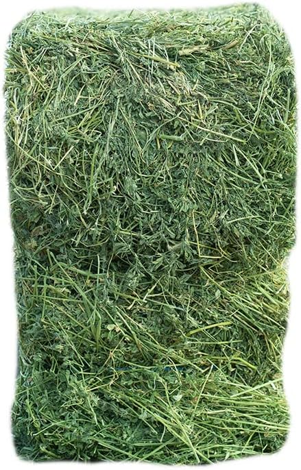 Fresh Alfalfa Hay 40Lbs by Bunny Honey - Natural Hay for Guinea Pigs, Rabbits, Hamsters, Hedgehogs, and More Small Animal Pets - Not Blended, Green Chopped & Delivered Fresh