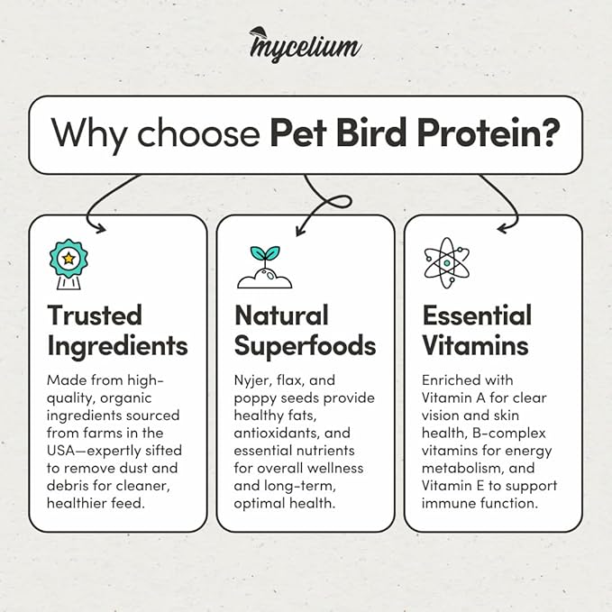 Mycelium Pet Bird Protein Bird Seed Mix (5 LB Bag) | High-Protein Bird Food for Finches, Canaries, Budgies & Parrotlets | Supports Energy & Growth | Organic, Non-GMO Daily Diet | Made in USA