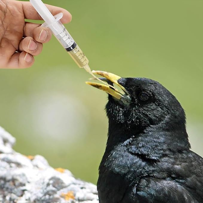 Balacoo 1 Set Pet Parrot Milk Feeding Syringe with Tubes Baby Pigeon Turtle-Dove Feeding Syringe Puppy Medicine Feeder Tablet Medical Feeding Tool for Small Animals