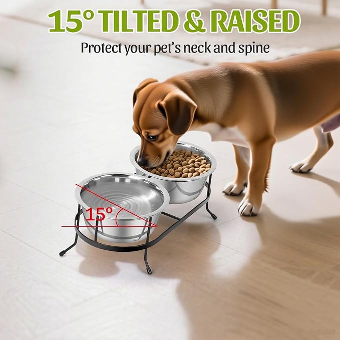 Stainless Steel Raised Dog Bowls with Stand 2 Removable Pet Feeder 15 °Tilt Elevated Pet Water Food Bowls for Dogs Cats Rabbits