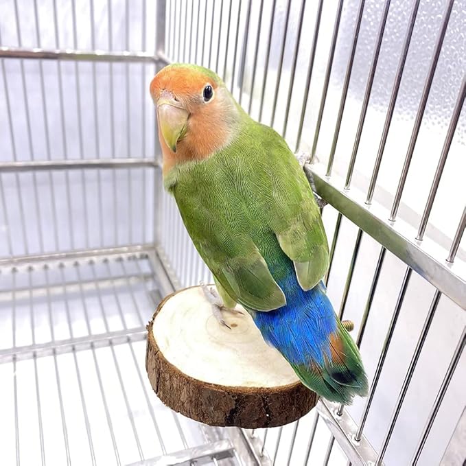 9-Piece Parrots Chewing Toy Set - Natural Wood & Rope Bungee Toys for Anchovies, Coconut Hideaway with Ladder, Bird Perch Stand, Cage Accessories for Parakeets, Cockatiel, Conure, Mynah, Macaw