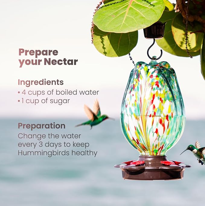 Tulip Shaped Glass Hummingbird Feeders for Outdoors - 36 Oz Hummingbird Feeder - Humming Bird feeders for Outdoors Hanging