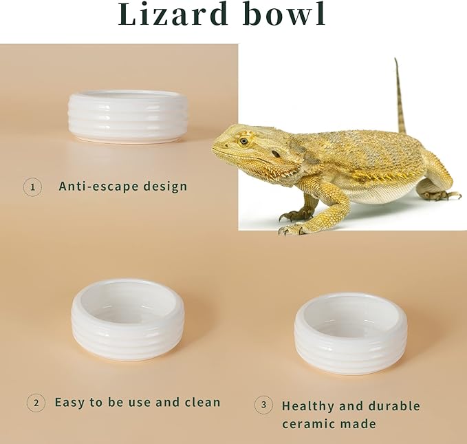 Reptile Food Bowls Ceramic Round Reptile Water Food Dish, Pet Food Bowl for Lizards, Small Snakes, Young Bearded Dragons, Gecko Tortoise Spider (White, Large-1Pack)