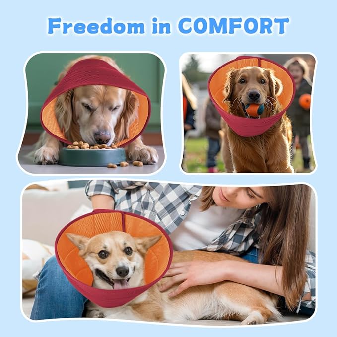 Inspack Soft Dog Cone Collar Alternative, E Cones for Medium Small Dogs/Cat to Stop Licking After Surgery, Neuter Recovery Ecollars of Shame Alternatives, Comfortable Paws Comfy Elizabethan Collars