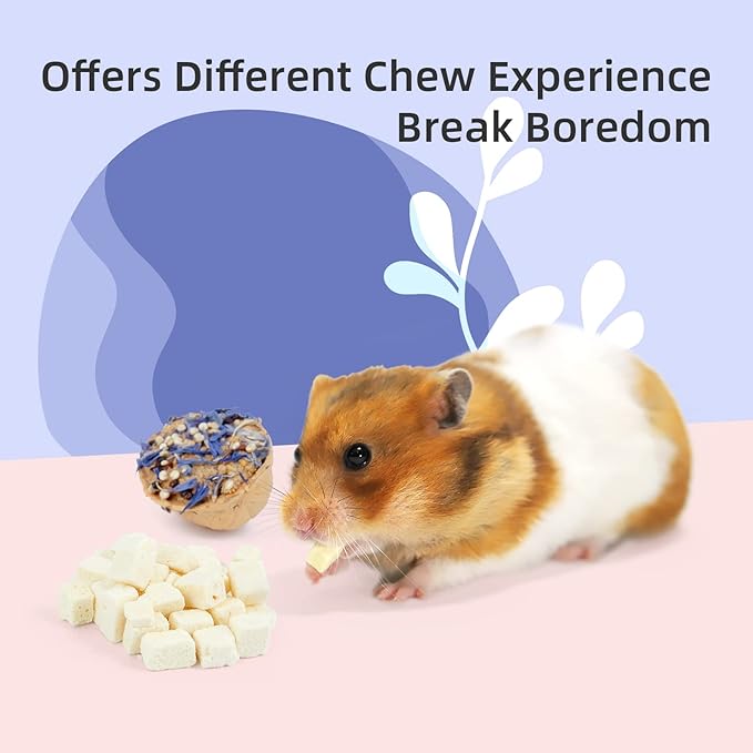 Niteangel Hamster Snack & Treats Toy - Small Animal Natural Treat Mix for Dwarf Syrian Robo Hamsters Gerbils Mice Lemmings Degus or Other Small-Sized Pets (Walnut-Shell Boat)