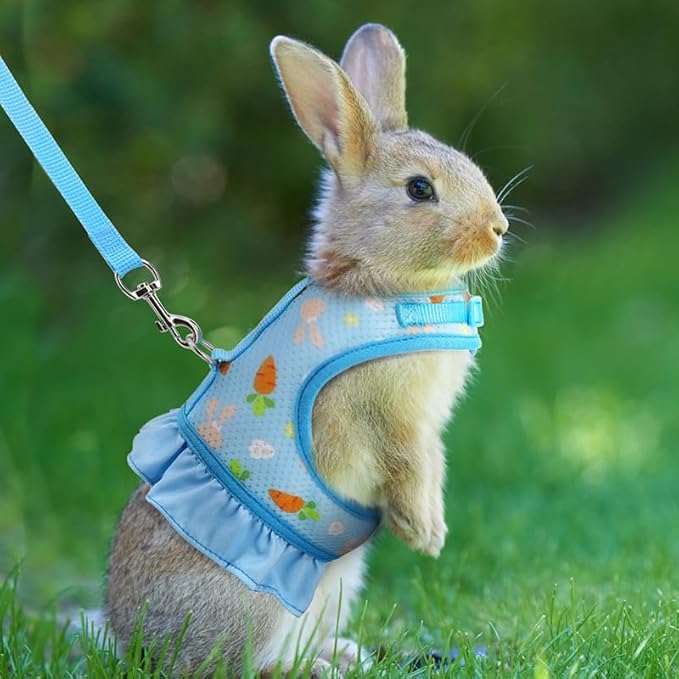 Bunny Harness and Leash,Proof Walking Escape Cute Floral Mesh Vest Breathable Rabbit Clothes for Bunnies, Hiking, Training for Ferret Kitten Puppy Small Pet Harness Blue S