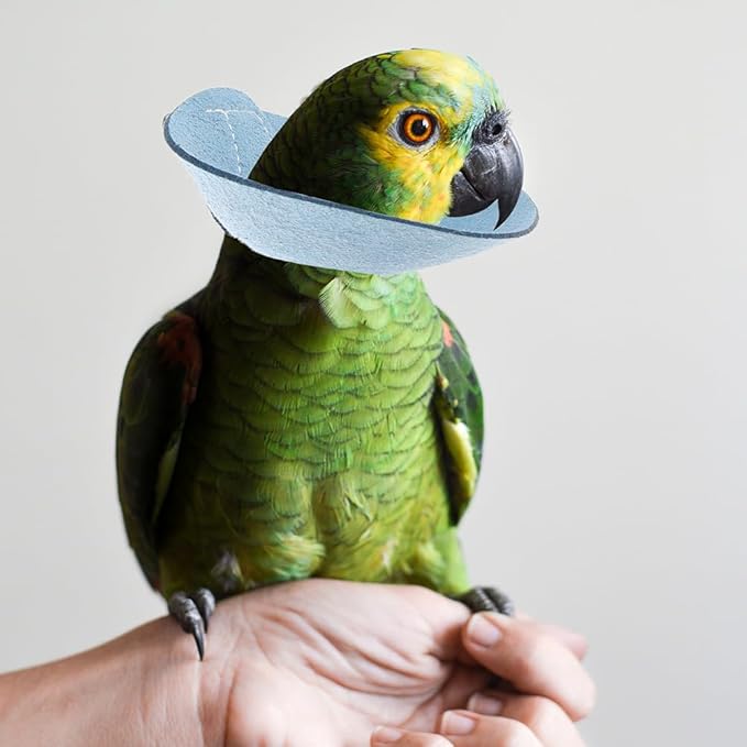 VANZACK Bird Cone Collar Adjustable Bird Parrot Tapered Collar Parrot Recovery Cones Neck Quaker Leather Neck Protector Feather Protection Sky-Blue