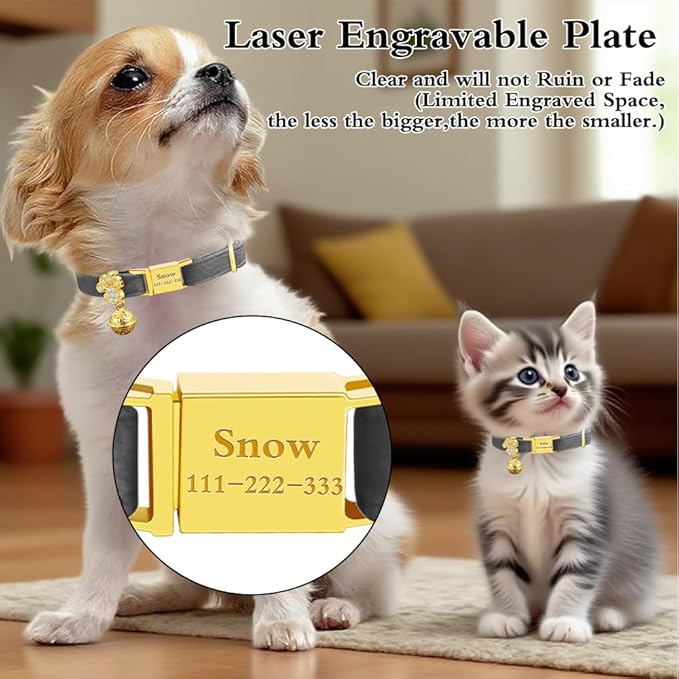 Personalized Breakaway Cat Collars - Magnetic Buckle, Bell - Safety Quick Release, Customized for Girls & Boys Cats- (Velvet-Grey)